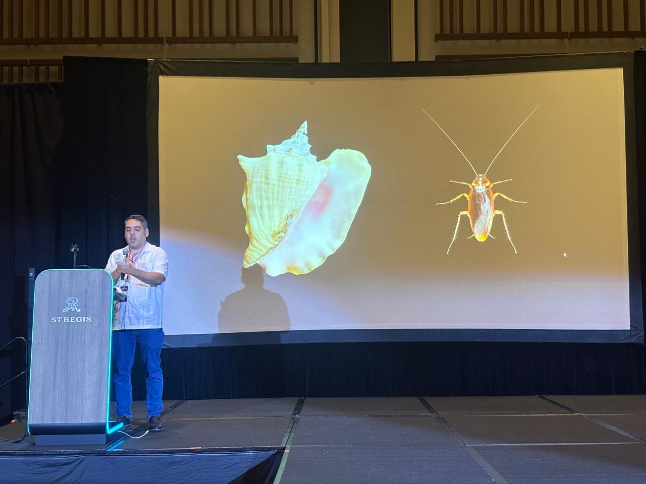 Rendell de Kort on stage beside a slide comparing a queen conch and a cockroach